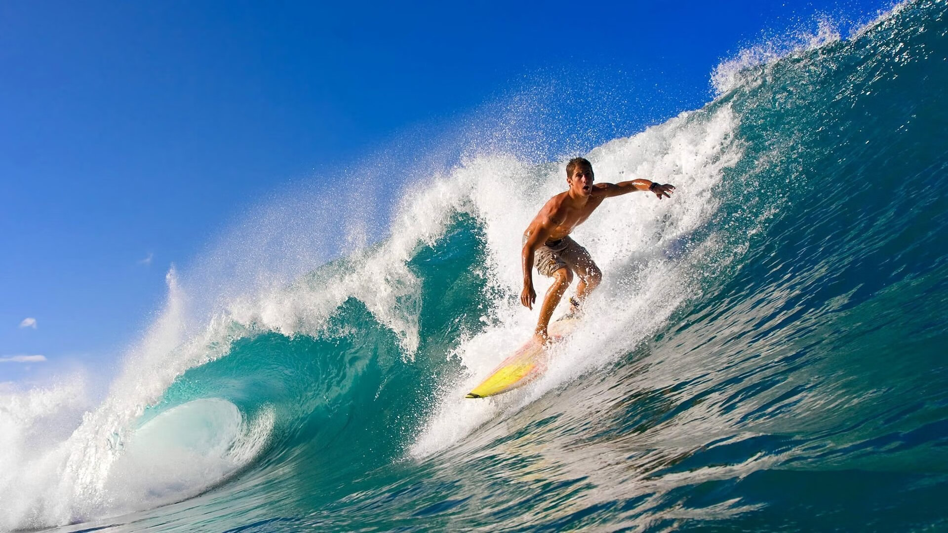 索赔绿色：国际赛场上的碳中和目标，中国绿色碳基金碳补偿标识